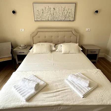 Camellia * קאבטאט